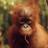 bml_in_co's profile image