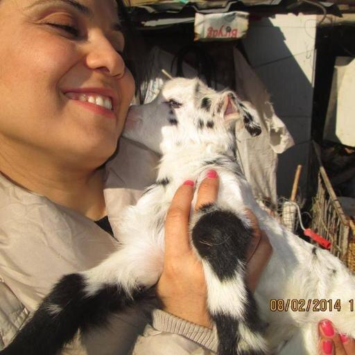 r_g_s_84's profile picture. İstanbul Üniversitesi-Business Administration