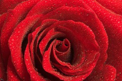 RosaLeeMimi's profile picture. twizzy tweeter tweets frm tweety bird nest high up in the trees yo wats crackin