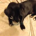 Terri Minor - @tminor7472 - Twitter