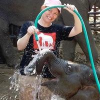 Sherry Umlah (@sherryumlah) 's Twitter Profile Photo