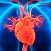SWBH Cardiology (@cardiologyswbh) 's Twitter Profile