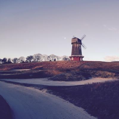 merrillmuller's profile picture. 