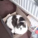 Benjamin D - @ben_doughty73 - Twitter