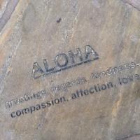 あろは (@alohaxxwaii) 's Twitter Profile