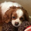 Amanda Hennessey - @Manda1504 - Twitter