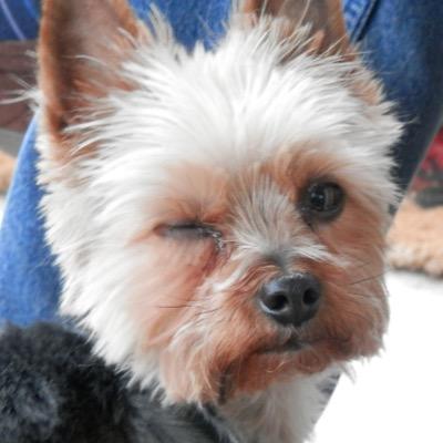 LynnGWood Profile Picture