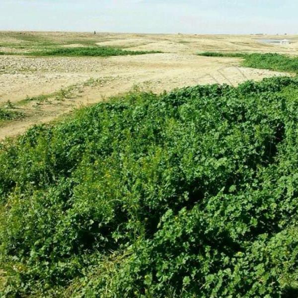 رجل يعيش بروح طفل وقلب عاطفي يبحث عن علاقات دافئة وحب رومنسي ، وزواج سعيد .