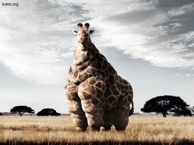 HellenaAndersen's profile picture. 