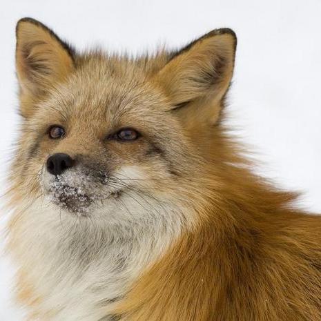 yuligha's profile picture. 