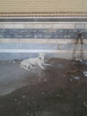 for the death organism was just atear for ur https://t.co/ScnvkTO3nU day i am drowing in asea of tears..π²