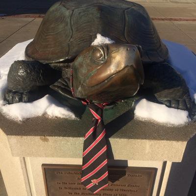TheTurgeonites Profile Picture