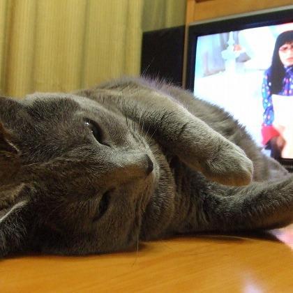 ドラマを見るのが好き＆DVDレンタルが好きな人へ、まだ見ぬおススメドラマを紹介していきます。参考にして頂ければ嬉しいです。