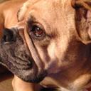 Larry Koenig - @larryk523 - Twitter