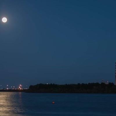 MrsPetitPois's profile picture. 