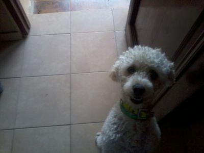 nurypok's profile picture. amante de los animales