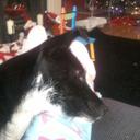 Leah Begley - @BegleyLeah - Twitter