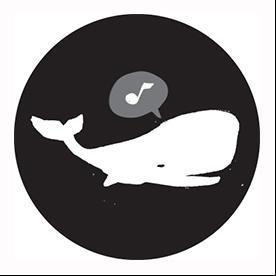 Mobyzik's profile picture. Agence de Musique originale & Synchro  🎧 https://t.co/4zTujIpv33
La Bande Originale de vos films 💌 @Mobyzik