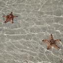 Camille James - @CCo_oJJ - Twitter