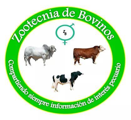 Bienvenidos a Zootecnia de Bovinos en Twitter. Somos una iniviativa cuyo objetivo es proporcionar siempre información de interés pecuario.