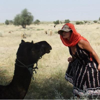 Darcytreats's profile picture. 