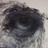 thierryfarge007's profile image