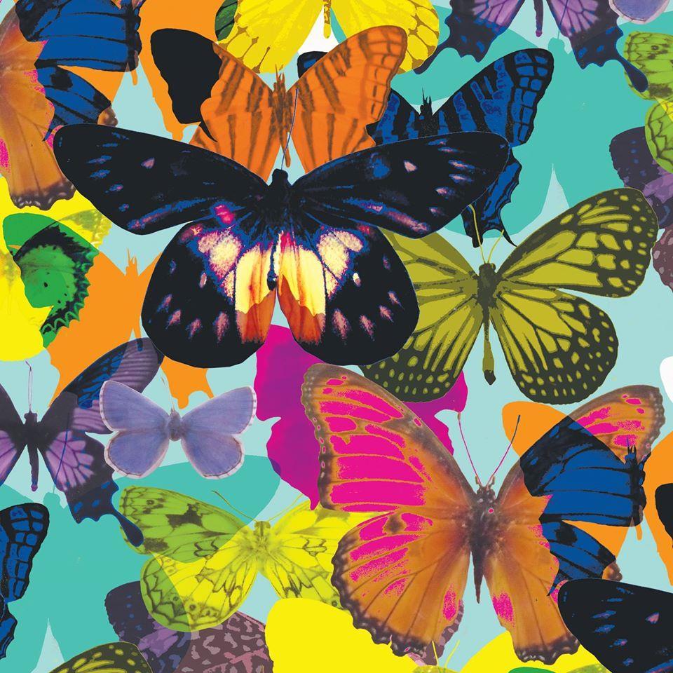 surface pattern designer for luxury eco-friendly gift wrap and greetings cards