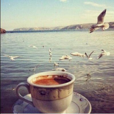 اللهم اجعل الآخرة اكبر همنا ،اللهم اجعل والداي ومن احب في اعلى الجنان اللهم علمنا ما ينفعنا /نصيحتي : كن متفائل ، كن إيجابيا ، كن سليم القلب ،كن ذَو هدف