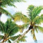 The Official Twitter Profile of Adventure Park DR at Finca Don Manny and become a fan on Facebook: http://t.co/sbPlJ94SMc