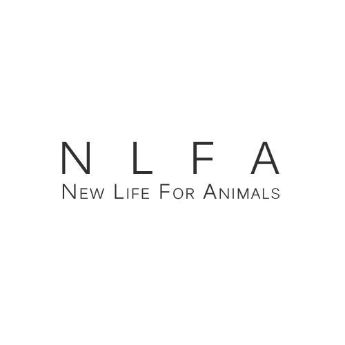 Our goal is to rescue, sterilize and find adopters for the needy dogs / cats in Romania. A dog doesn’t belong on the streets but close to a human.