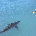 Stuart Welsh - @mrstuartwelsh - Twitter