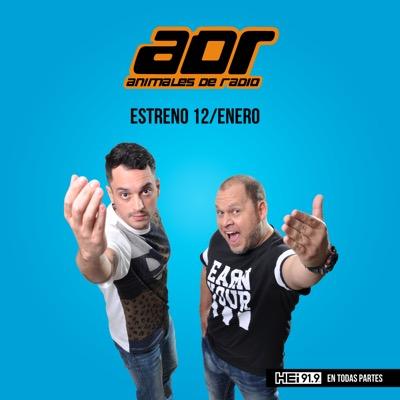 Cuenta oficial del programa de tv conducido por @mazizotorres @carlosturrini por Hei Musica. Domingos a Jueves 22 horas.Asu/ Paraguay.