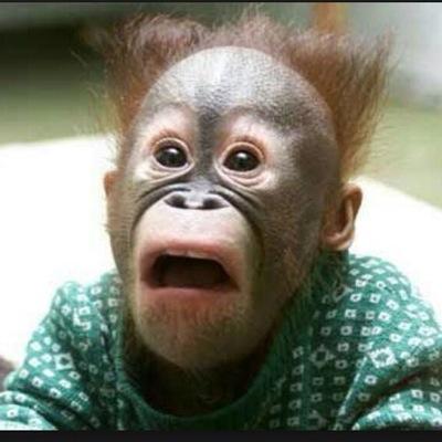 Cesar09094231's profile picture. 