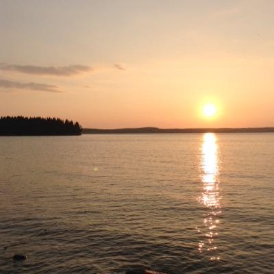 dlklatt's profile picture. 