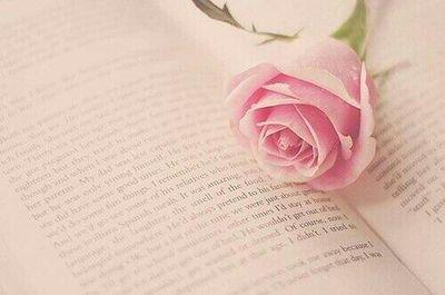 처음 시작하는 모든 존재는 늘 아프고 불안하다.
하지만 기억하라. 그대는 눈부시게 아름답다.
