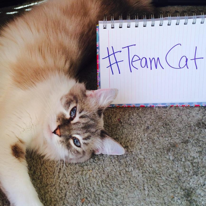 Join the BlogPaws Community for pet bloggers/writers, pet enthusiasts & brands. Be The Change For Pets!