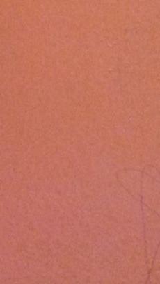 Toner_Original's profile picture. 