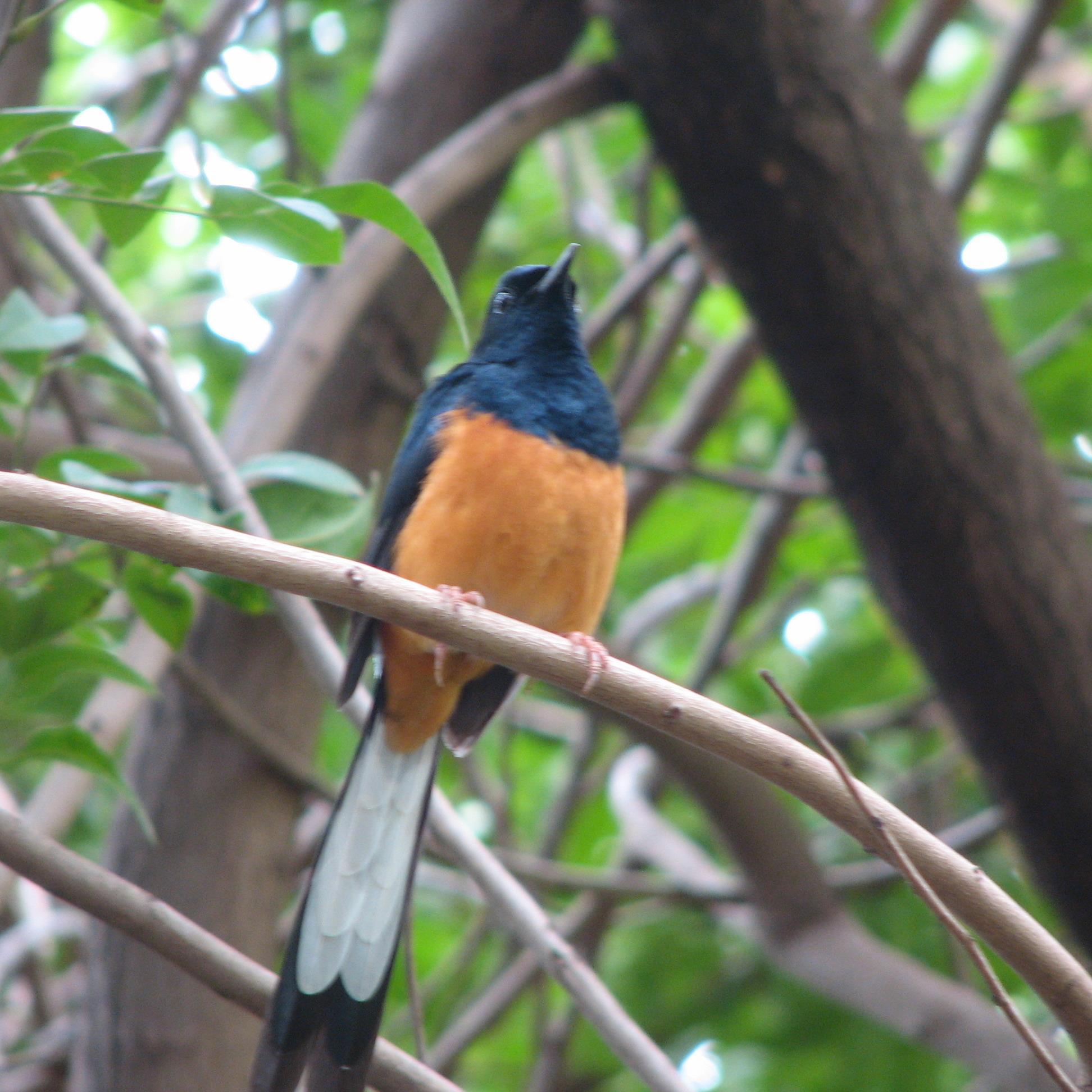 DaleOdorizzi's profile picture. 