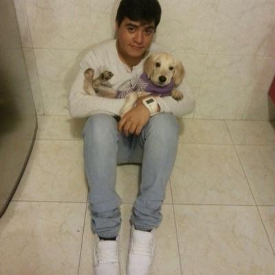 dacobataco's profile picture. 