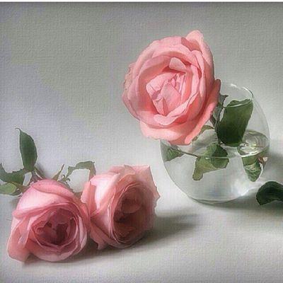 zmrd12123's profile picture. 