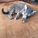 Jonathan Bachmann - @JonnyBachmann - Twitter