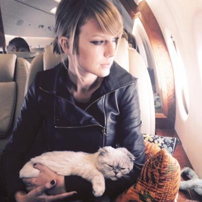 I just love Taylor Swift a lot.