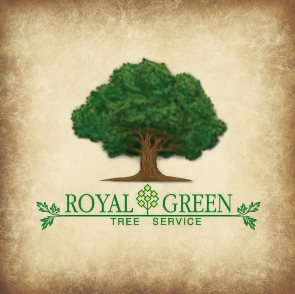 Family owned and operated tree service since 1984. Tree removal, tree pruning, and stump grinding services for customers across northeast MA and southeast NH.