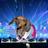 AutumnTheDoxie's profile image
