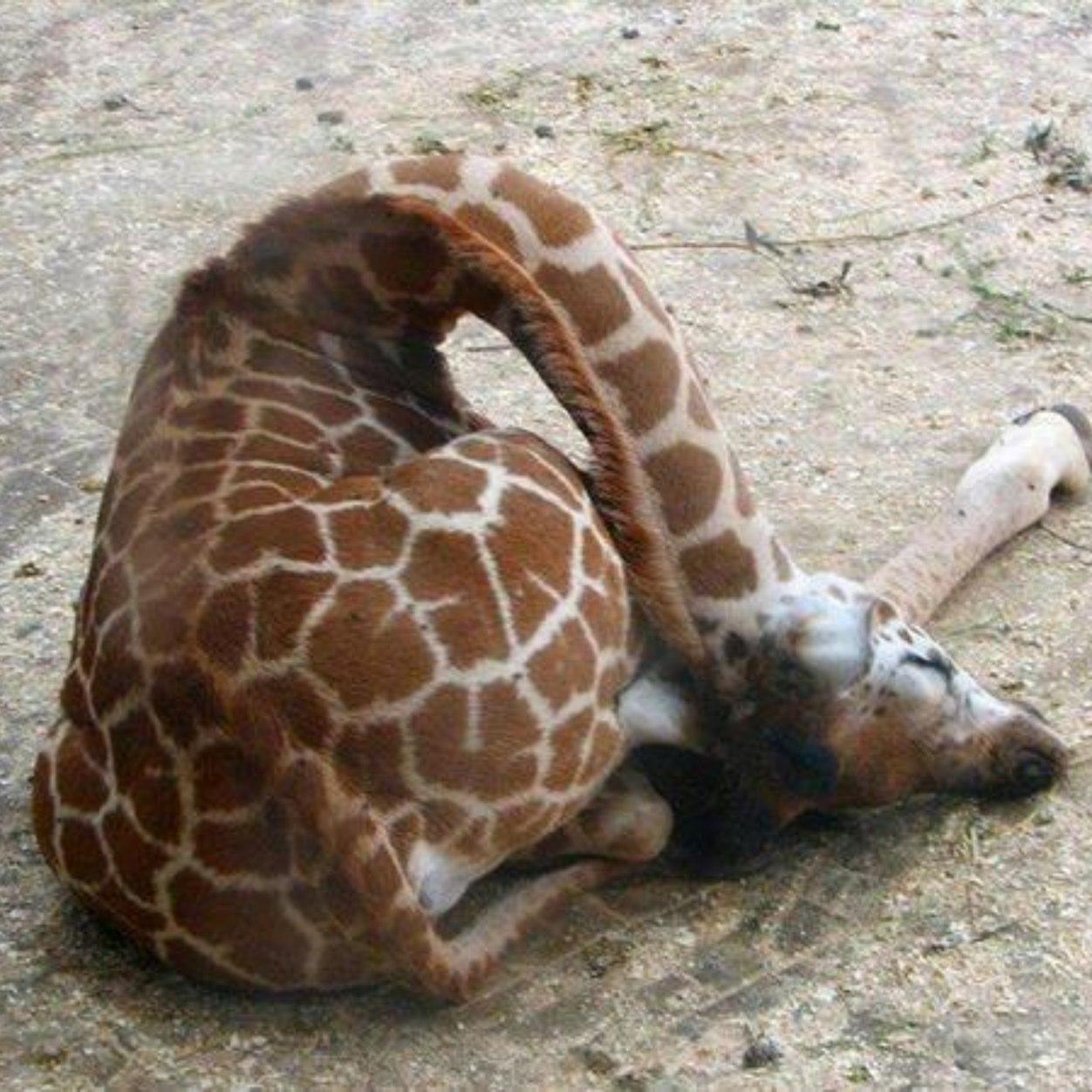 MatRichards79's profile picture. The guy who saved @BTDYEAHS life