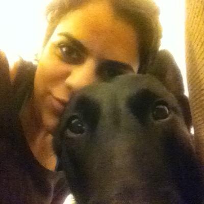 #Gaya #dogs