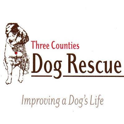 3CountiesDogs's profile picture. Self funded Registered charity run by passionate volunteers rescuing, re-homing dogs for over 45 years. Please re tweet and check out our webpage and support us