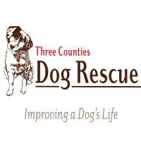 Three Counties Dogs(@3CountiesDogs) 's Twitter Profile Photo