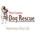 Three Counties Dogs (@3countiesdogs) Twitter profile photo
