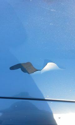 DanaMarieTerry's profile picture. 